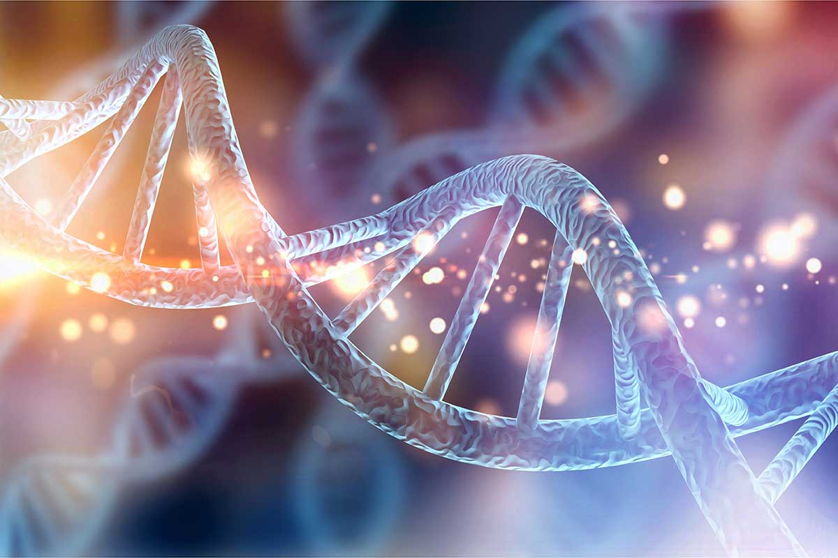 Molecular Biology